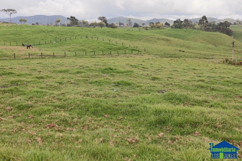 Terreno en Venta en De Los Milagros