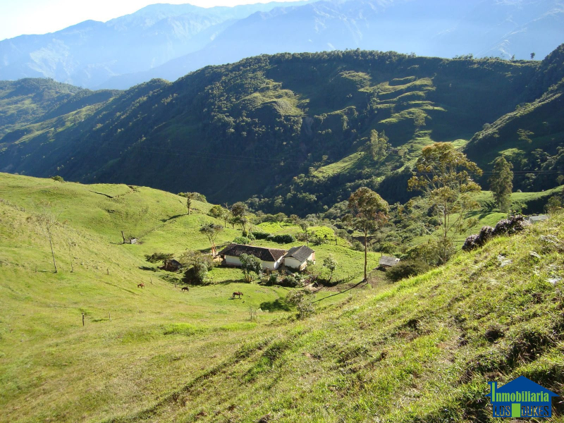 Casa-Finca en Venta en Vereda Buena Vista