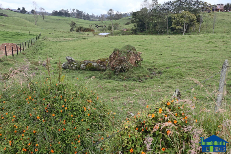 Terreno en Venta en De Los Milagros